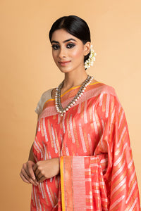 Banarasi Katan Silk Silver and Gold Chhadi Fern Saree