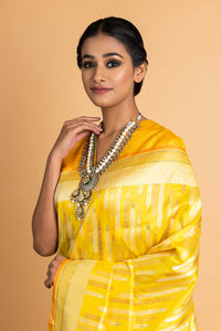 Banarasi Katan Silk Silver and Gold Chhadi Fern Saree