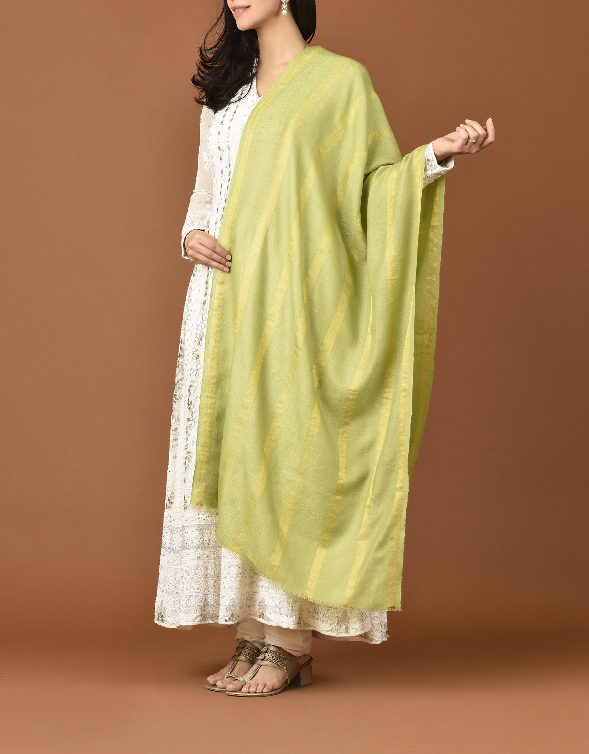 Pashmina Shawl With Zari Parrot Green Stole