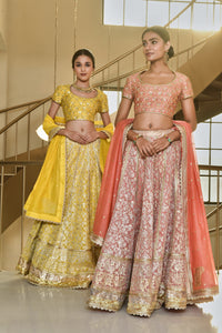 Banaras Kota Gold and Silver Foil Print With Dori Embroidery Pink Lehenga Set