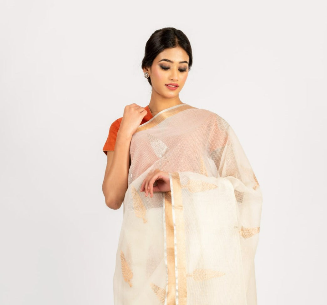 Kotah Cotton Cypress Tree Buti Saree (All Over)