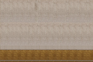 Kota Tissue Silver Gold Stripes Saree