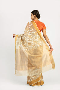 Kota Tissue Rose Jaal Saree