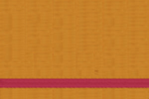 Benaras Silk 2 Colour Resham Buti Saree