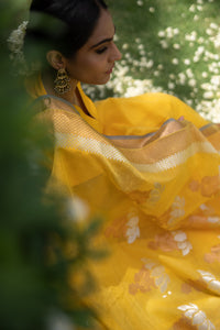 Kota Cotton Buddha Palla Yellow Saree
