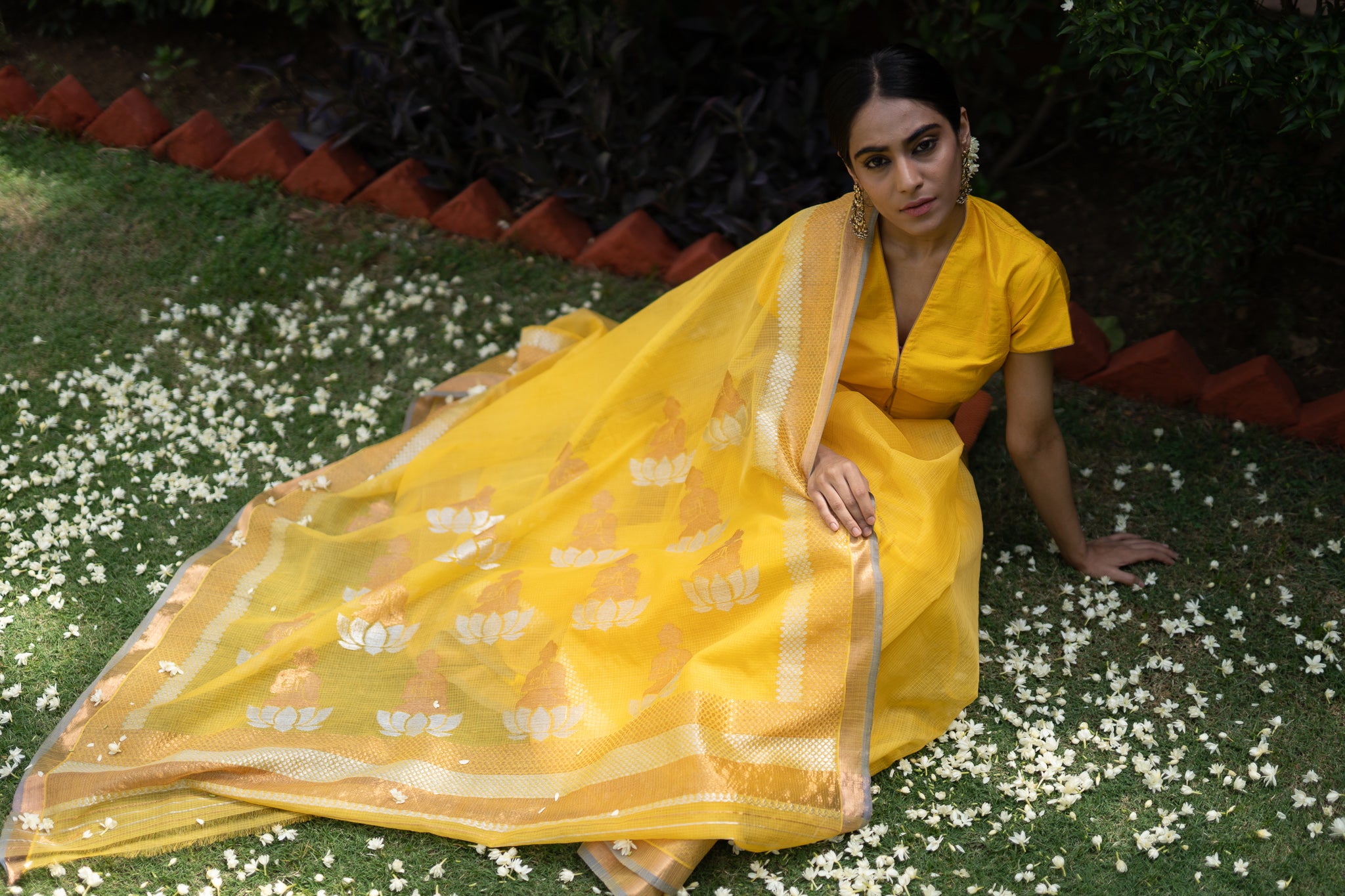Kota Cotton Buddha Palla Yellow Saree