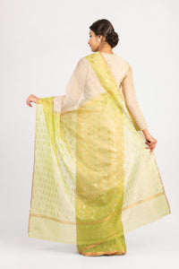 Kota Tissue Zari Nasreen Design Saree