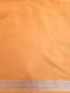 Benaras Silk Pushkar Silver / Gold Design Saree