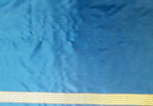 Benaras Silk Elephant Motif Saree