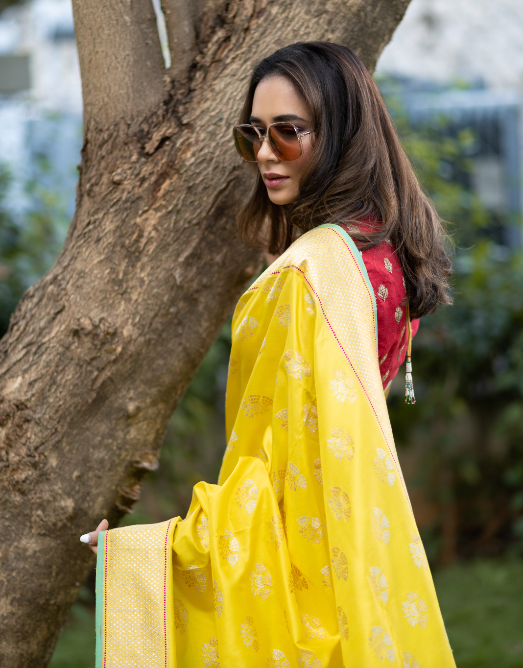 Benaras Silk Jhumka Buti Silver Gold Saree