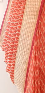 Benaras Silk Graded Diamond Jaal Silver-Gold Zari Coral Saree