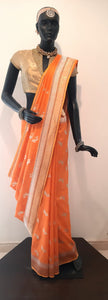 Benaras Silk Matsya Design Saree