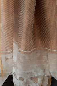 Kota Tissue Rose Jaal Saree