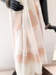 Kota Cotton Cypress Tree Buti Saree (On Palla)