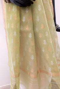 Kota Tissue Zari Nasreen Design Saree