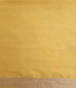 Benaras Silk Jhumka Buti Silver Gold Saree