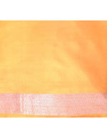 Load image into Gallery viewer, Benaras Silk Parrot Motif Saree

